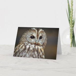 Wenskaart van bruine uil kaart