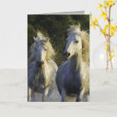 Wenskaart van Camargue Kaart (Gele Bloem)