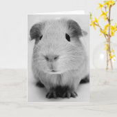 Wenskaart van cavia's kaart (Gele Bloem)
