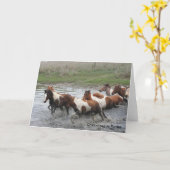 Wenskaart van Chincoteague Ponies Kaart (Gele Bloem)