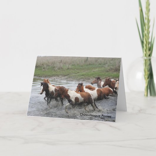 Wenskaart van Chincoteague Ponies Kaart (Voorkant)