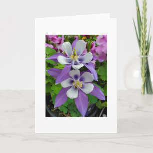 wenskaart van Columbinebloemen Kaart