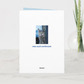 wenskaart van coole katten kaart (Achterkant)