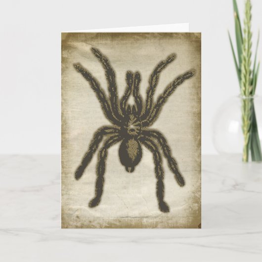 Wenskaart van Creepy Spider Kaart (Voorkant)