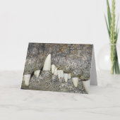 Wenskaart van Crocodile Teeth Kaart (Voorkant)
