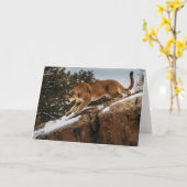 Wenskaart van de berglion kaart (Gele Bloem)