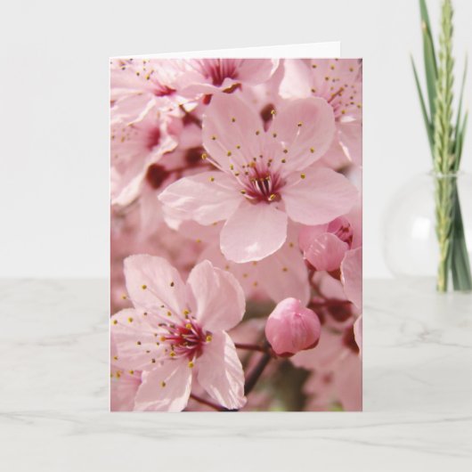 Wenskaart van de Bloesems van de Bloem van de Boom Kaart (Voorkant)