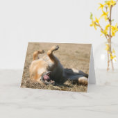 Wenskaart van de Duitse herdershond Kaart (Gele Bloem)