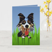 Wenskaart van de grenscollie kaart (Gele Bloem)