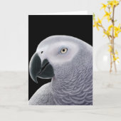 Wenskaart van de grijze papegaai kaart (Gele Bloem)