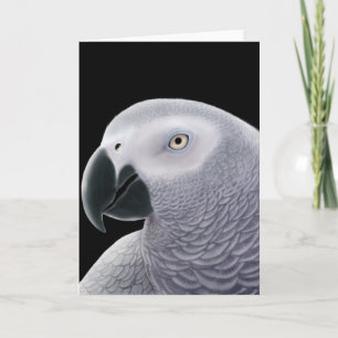 Wenskaart van de grijze papegaai kaart