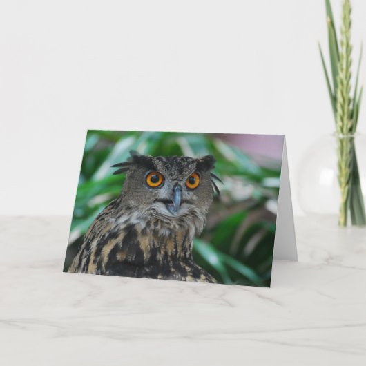 Wenskaart van de grote uil kaart (Voorkant)