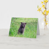Wenskaart van de heer Gray Kaart (Gele Bloem)