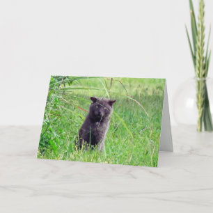 Wenskaart van de heer Gray Kaart