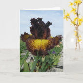 WENSKAART VAN DE IRIS VAN DE "TOSCAANSE ZOMER" HET KAART (Gele Bloem)