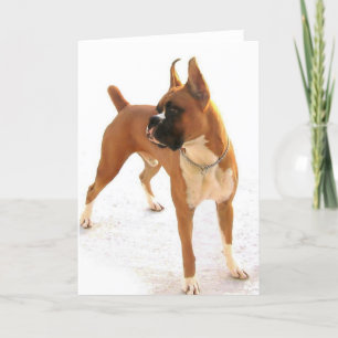 wenskaart van de kapper kaart