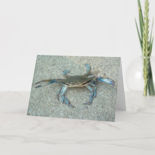 Wenskaart van de Krab van Maryland het Blauwe Kaart (Voorkant)