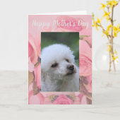 wenskaart van de Moederdag-papegaai Kaart (Gele Bloem)