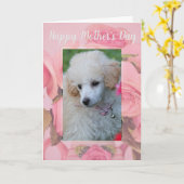 wenskaart van de Moederdag-papegaai Kaart (Gele Bloem)