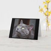 Wenskaart van de Redding van de Kat van Greyfoot Kaart (Gele Bloem)