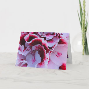 Wenskaart van de ruches van de pelargonium kaart