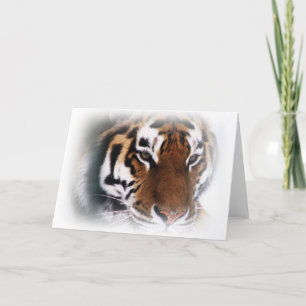 Wenskaart van de Siberische tijger Kaart