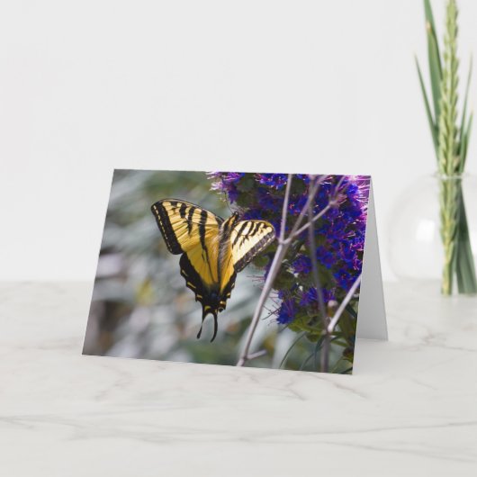 Wenskaart van de swallowtail Butterfly Kaart (Voorkant)