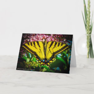 Wenskaart van de swallowtail Butterfly Kaart
