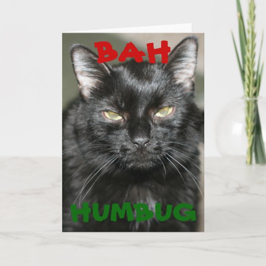 Wenskaart van de Vakantie van de Kat van Humbug Feestdagen Kaart (Voorkant)