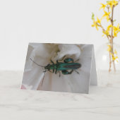 Wenskaart van de ventilatorbeetel kaart (Gele Bloem)