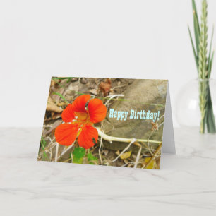 Wenskaart van de verjaardag! kaart