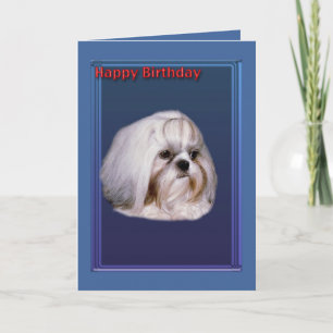 Wenskaart van de verjaardag met Shih Tzu Kaart