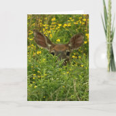 Wenskaart van de wilde bloemen kaart (Voorkant)