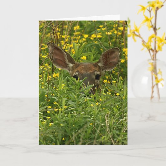 Wenskaart van de wilde bloemen kaart (Gele Bloem)