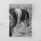 Wenskaart van de wilde paarden van de rode Stallio Kaart (Binnen)