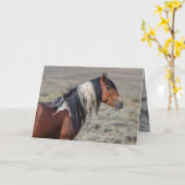 Wenskaart van de wilde paarden van de rode Stallio Kaart (Gele Bloem)