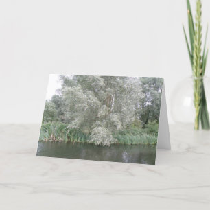 Wenskaart van de witte boom en het rivierlandschap kaart