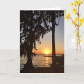 wenskaart van de zonsondergang en het Spaanse mos Kaart (Gele Bloem)