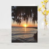 wenskaart van de zonsondergang en het spaanse mos kaart (Gele Bloem)