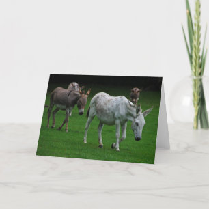 Wenskaart van ezel en muilezel kaart