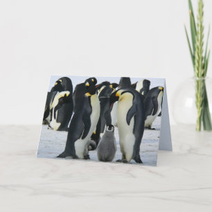 wenskaart van familiemperor pinguïns feestdagen kaart