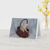 Wenskaart van Ferret Kaart (Gele Bloem)