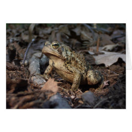 Wenskaart van filosofische schuimkikkers