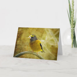 Wenskaart van getextureerde Evening Grosbeak Kaart