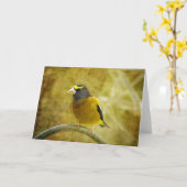 Wenskaart van getextureerde Evening Grosbeak Kaart (Gele Bloem)