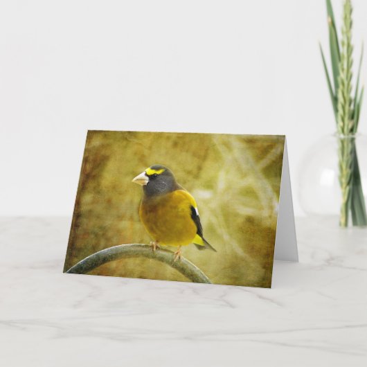 Wenskaart van getextureerde Evening Grosbeak Kaart (Voorkant)