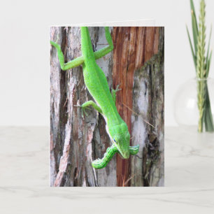 Wenskaart van groene anjullie (hazard) kaart