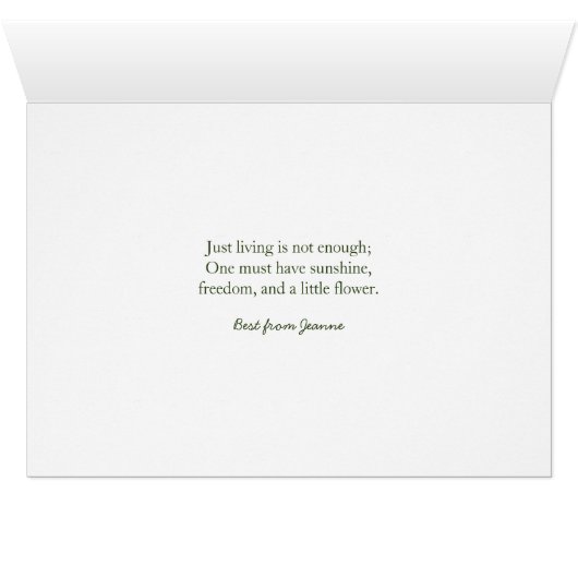 Wenskaart van het Afrikaanse Violet All-Occasion (Binnen Horizontaal (Onder))