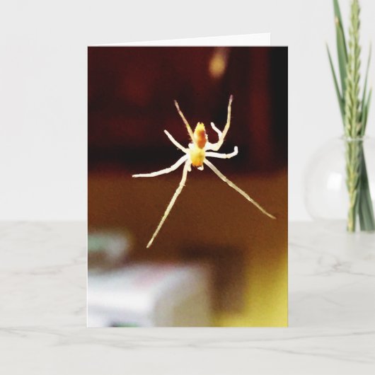 Wenskaart van het Collectie van Monsters Lil Kaart (Voorkant)