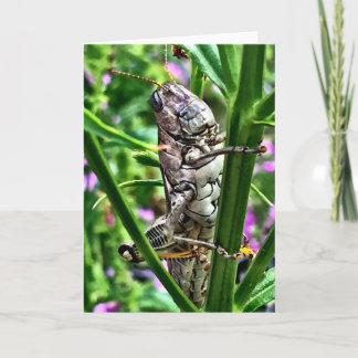 Wenskaart van het Collectie van Monsters Lil Kaart